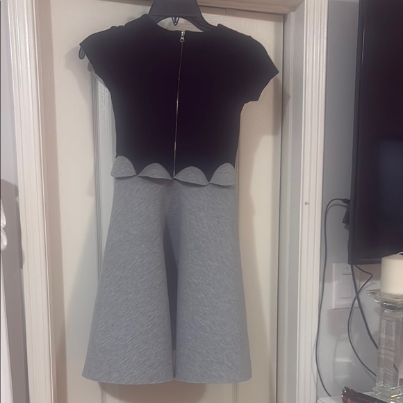 Chic Black and Gray Dress - Picture 2 of 2